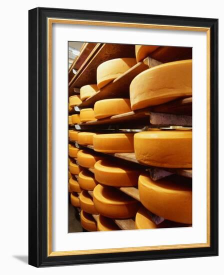 Cheese at Heidi Farm,Tasmania, Australia-John Hay-Framed Photographic Print