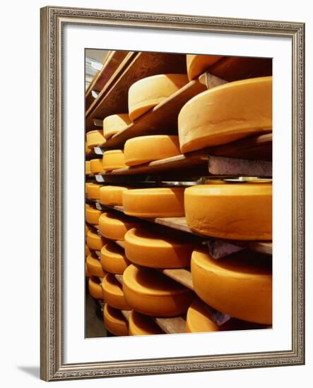 Cheese at Heidi Farm,Tasmania, Australia-John Hay-Framed Photographic Print