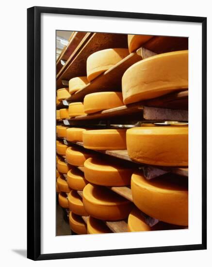 Cheese at Heidi Farm,Tasmania, Australia-John Hay-Framed Photographic Print