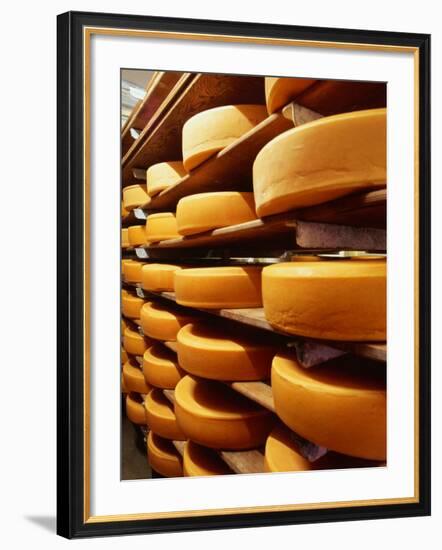 Cheese at Heidi Farm,Tasmania, Australia-John Hay-Framed Photographic Print