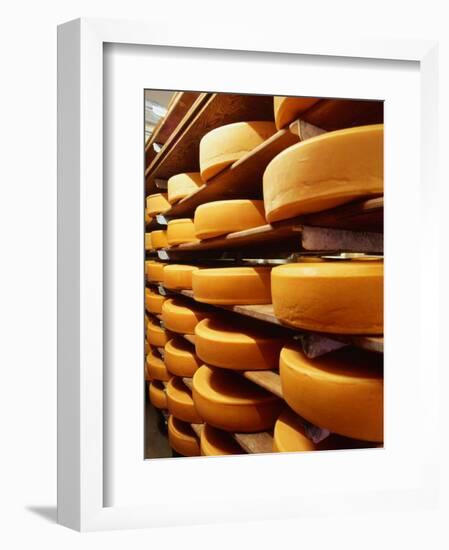 Cheese at Heidi Farm,Tasmania, Australia-John Hay-Framed Photographic Print