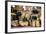 Cheese for Sale at a Market Stall, Lourmarin, Vaucluse, Provence-Alpes-Cote D'Azur, France-null-Framed Photographic Print