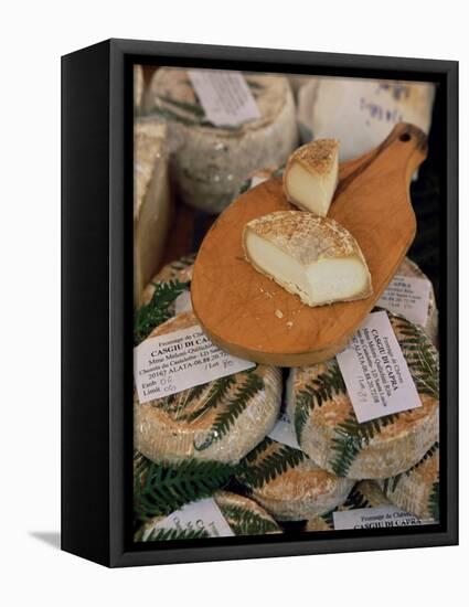 Cheese in the Market, Ajaccio, Corsica, France-Yadid Levy-Framed Premier Image Canvas