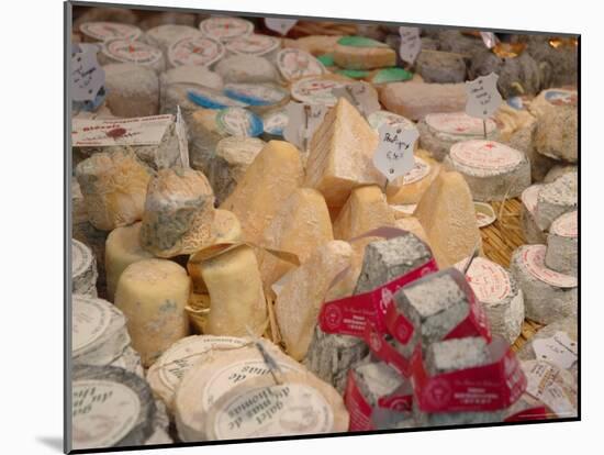 Cheese Variety in Shop, Paris, France-Lisa S. Engelbrecht-Mounted Photographic Print