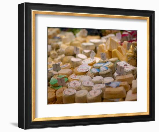 Cheese Variety, Paris, France-Lisa S. Engelbrecht-Framed Photographic Print