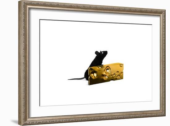 Cheese-Alex Cherry-Framed Art Print