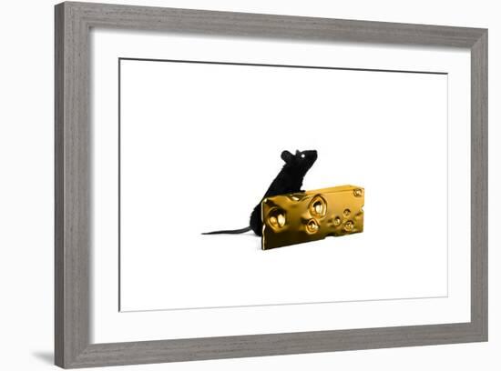 Cheese-Alex Cherry-Framed Art Print