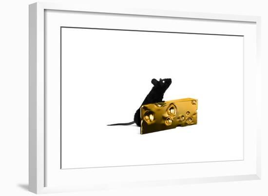 Cheese-Alex Cherry-Framed Art Print