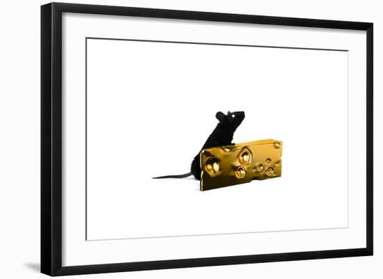 Cheese-Alex Cherry-Framed Art Print