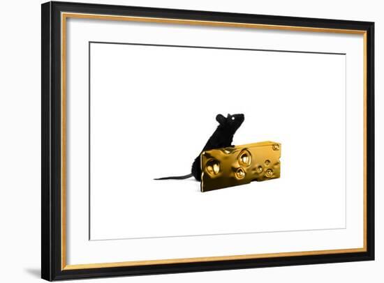 Cheese-Alex Cherry-Framed Art Print