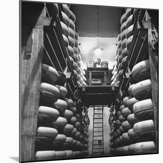 Cheeses Being Washed at Cheese Factory-William Vandivert-Mounted Photographic Print