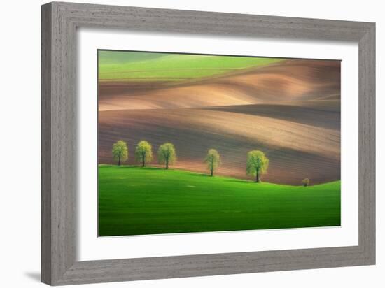 Cheestnut Family-Marcin Sobas-Framed Photographic Print