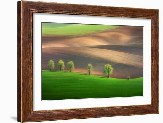 Cheestnut Family-Marcin Sobas-Framed Photographic Print