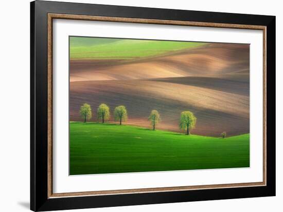 Cheestnut Family-Marcin Sobas-Framed Photographic Print