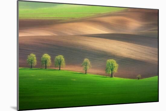 Cheestnut Family-Marcin Sobas-Mounted Photographic Print