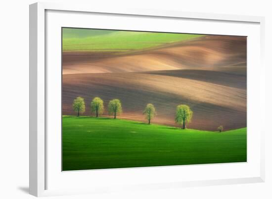 Cheestnut Family-Marcin Sobas-Framed Photographic Print