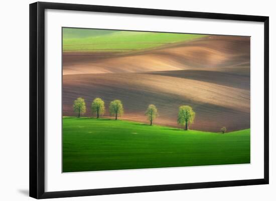 Cheestnut Family-Marcin Sobas-Framed Photographic Print