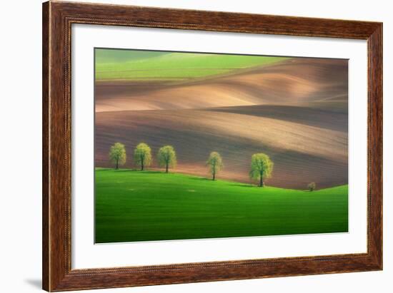 Cheestnut Family-Marcin Sobas-Framed Photographic Print