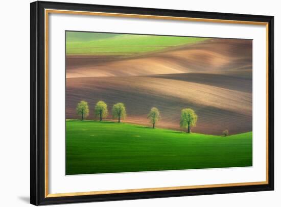 Cheestnut Family-Marcin Sobas-Framed Photographic Print