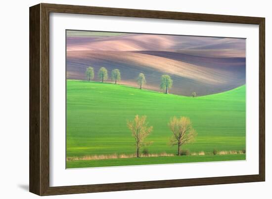 Cheestnut's and Willow'S-Marcin Sobas-Framed Photographic Print