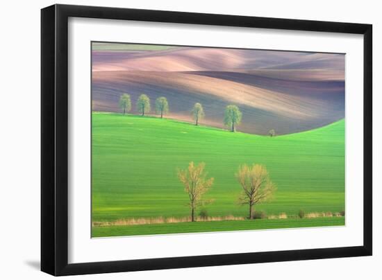 Cheestnut's and Willow'S-Marcin Sobas-Framed Photographic Print