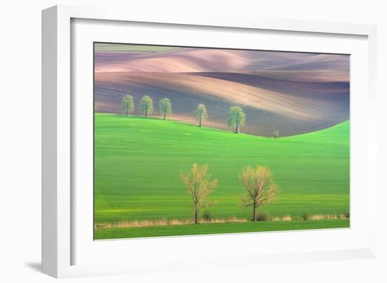 Cheestnut's and Willow'S-Marcin Sobas-Framed Photographic Print