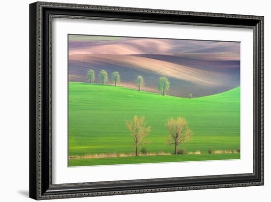 Cheestnut's and Willow'S-Marcin Sobas-Framed Photographic Print