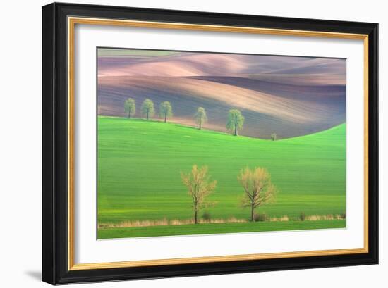 Cheestnut's and Willow'S-Marcin Sobas-Framed Photographic Print