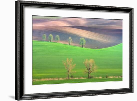 Cheestnut's and Willow'S-Marcin Sobas-Framed Photographic Print