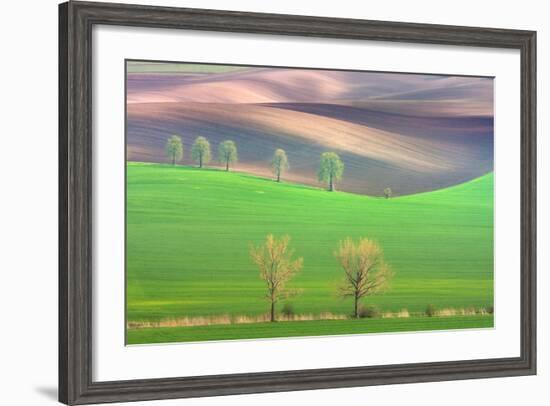 Cheestnut's and Willow'S-Marcin Sobas-Framed Photographic Print