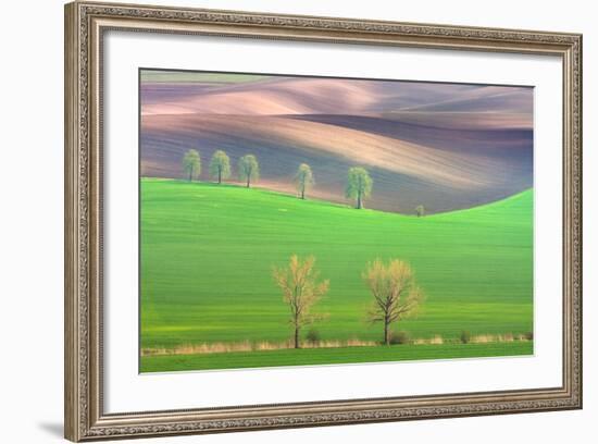 Cheestnut's and Willow'S-Marcin Sobas-Framed Photographic Print