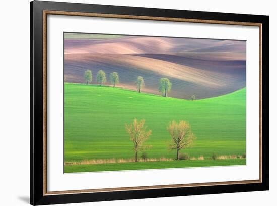 Cheestnut's and Willow'S-Marcin Sobas-Framed Photographic Print