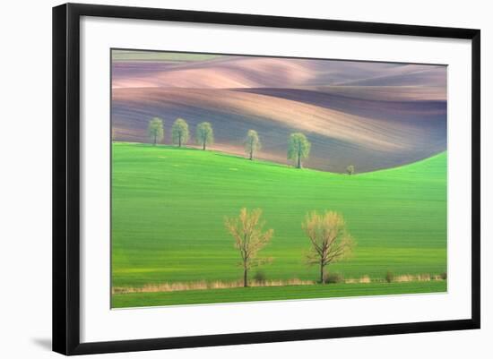 Cheestnut's and Willow'S-Marcin Sobas-Framed Photographic Print