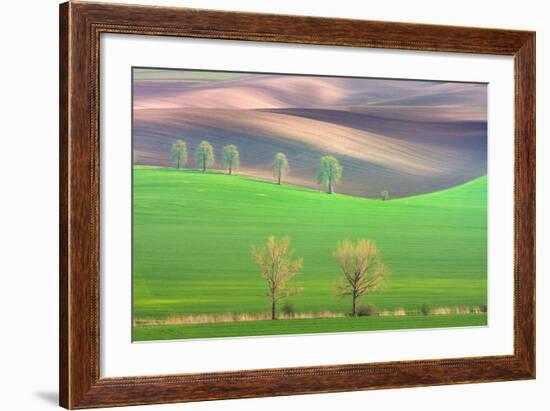 Cheestnut's and Willow'S-Marcin Sobas-Framed Photographic Print