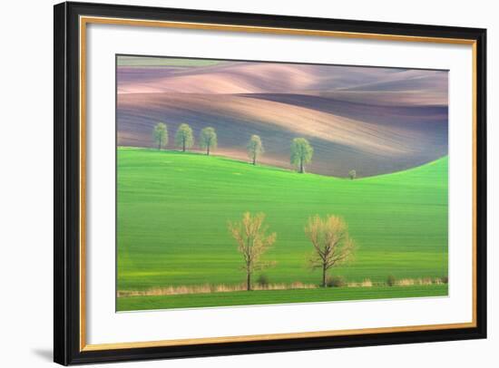 Cheestnut's and Willow'S-Marcin Sobas-Framed Photographic Print