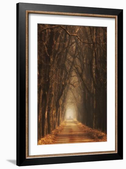 Cheestnut's Avenue-Marcin Sobas-Framed Photographic Print