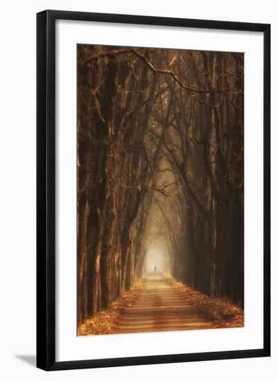 Cheestnut's Avenue-Marcin Sobas-Framed Photographic Print