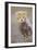 Cheetah 10-12 Week Old Cub-null-Framed Photographic Print