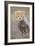 Cheetah 10-12 Week Old Cub-null-Framed Photographic Print