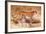 Cheetah, 1851-52-Joseph Wolf-Framed Giclee Print