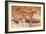 Cheetah, 1851-52-Joseph Wolf-Framed Giclee Print