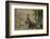 Cheetah (Acinonyx Jubatus) Cub About a Month Old-James Hager-Framed Photographic Print