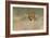 Cheetah (Acinonyx Jubatus) in a Field, Etosha National Park, Namibia-null-Framed Photographic Print