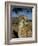 Cheetah (Acinonyx Jubatus) in Captivity, Namibia, Africa-Steve & Ann Toon-Framed Photographic Print