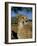 Cheetah (Acinonyx Jubatus) in Captivity, Namibia, Africa-Steve & Ann Toon-Framed Photographic Print