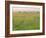 Cheetah (Acinonyx Jubatus) in the Grass, Maasai Mara National Reserve, Kenya-Keren Su-Framed Photographic Print