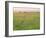 Cheetah (Acinonyx Jubatus) in the Grass, Maasai Mara National Reserve, Kenya-Keren Su-Framed Photographic Print