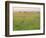 Cheetah (Acinonyx Jubatus) in the Grass, Maasai Mara National Reserve, Kenya-Keren Su-Framed Photographic Print