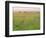 Cheetah (Acinonyx Jubatus) in the Grass, Maasai Mara National Reserve, Kenya-Keren Su-Framed Photographic Print