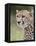 Cheetah (Acinonyx Jubatus), Kruger National Park, South Africa, Africa-James Hager-Framed Premier Image Canvas
